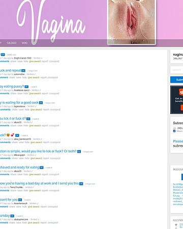 /r/vagina Screencap